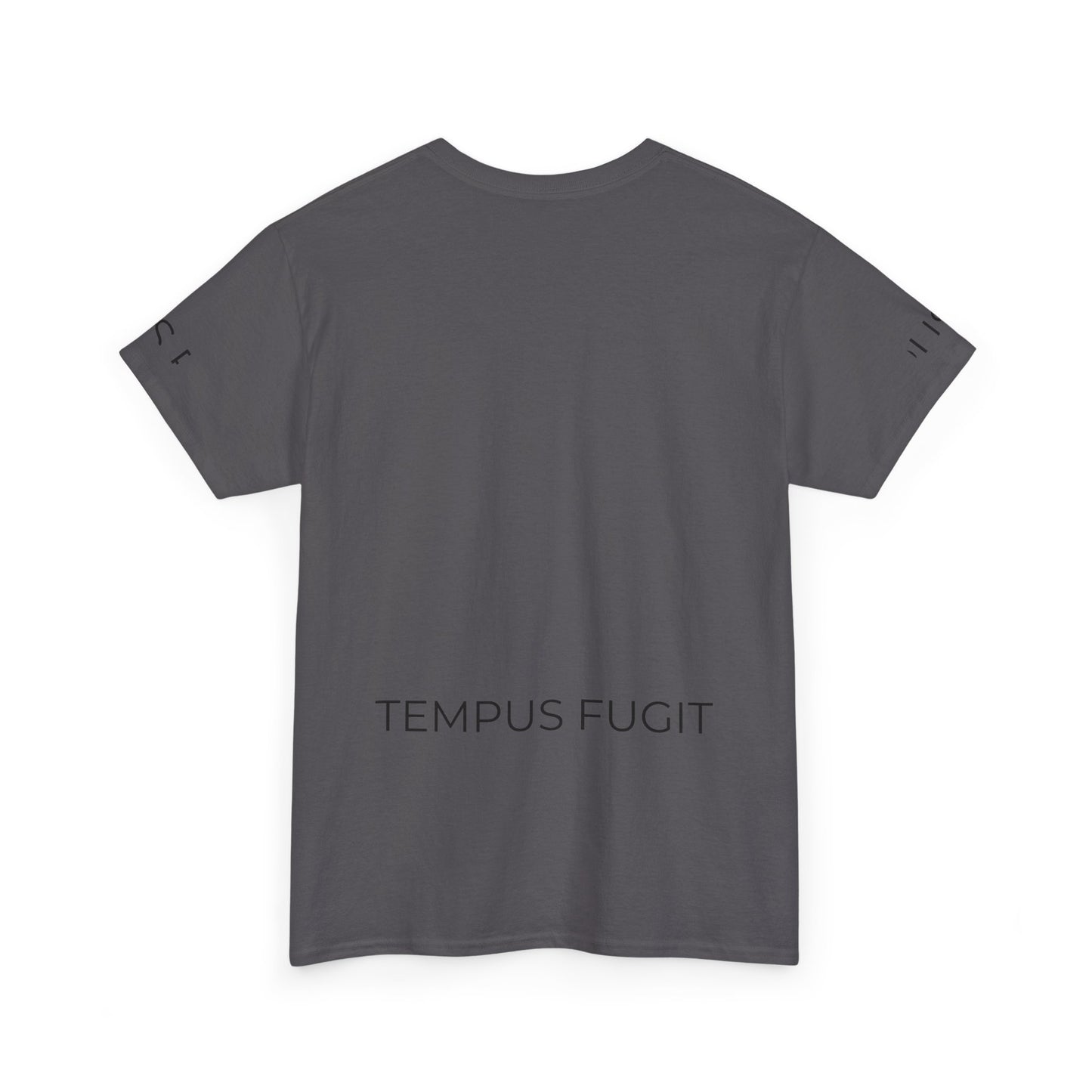 Tempus Fugit Lion T-Shirt Stoic Graphic Tee
