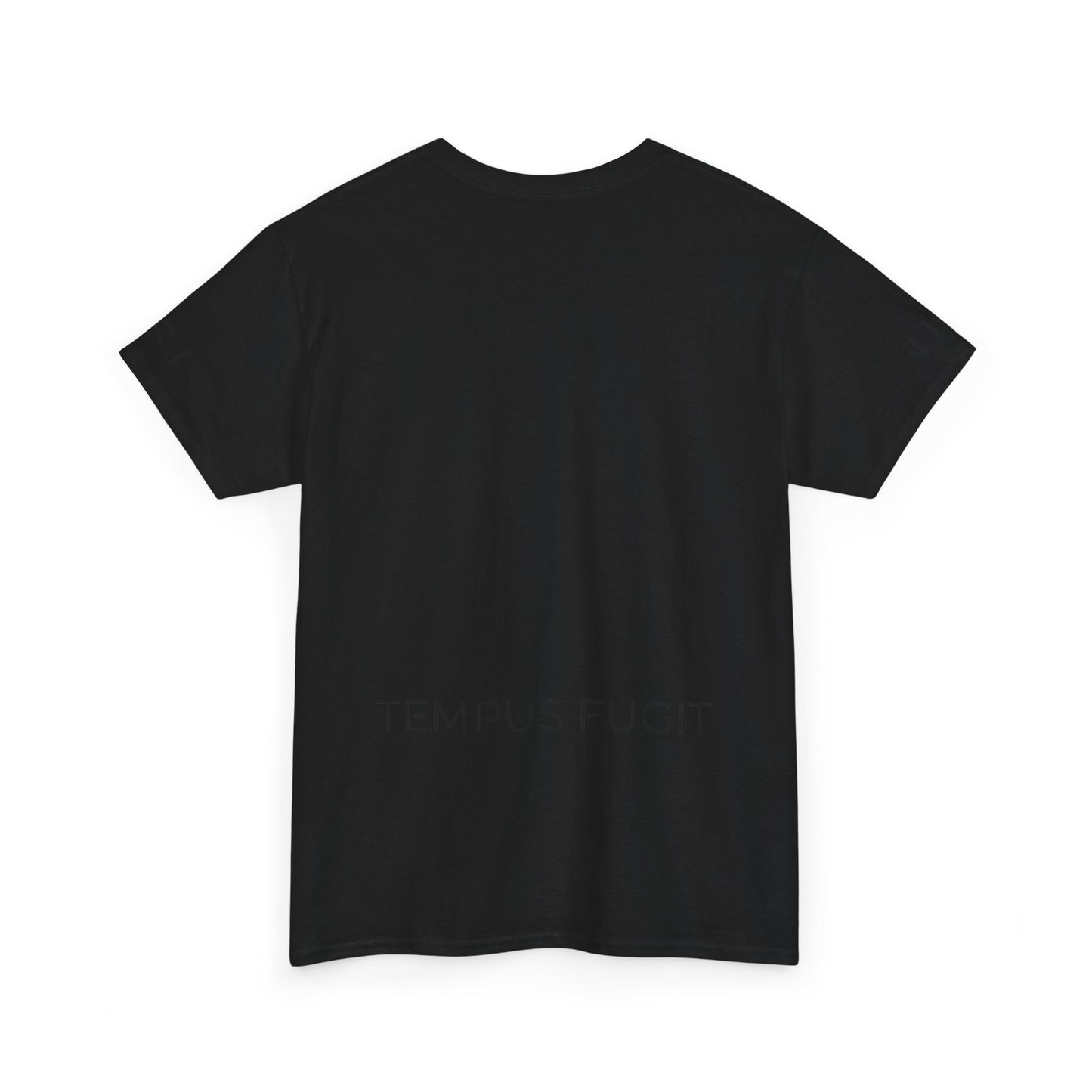 Tempus Fugit Lion T-Shirt Stoic Graphic Tee