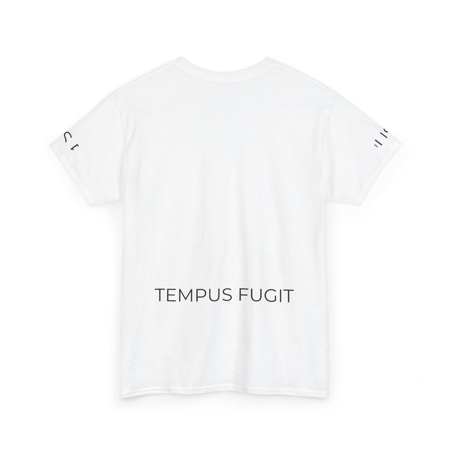 Tempus Fugit Lion T-Shirt Stoic Graphic Tee