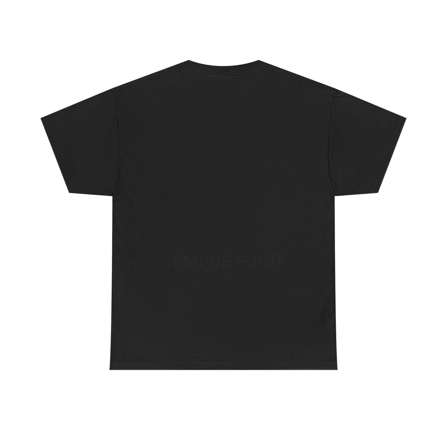 Tempus Fugit Lion T-Shirt Stoic Graphic Tee