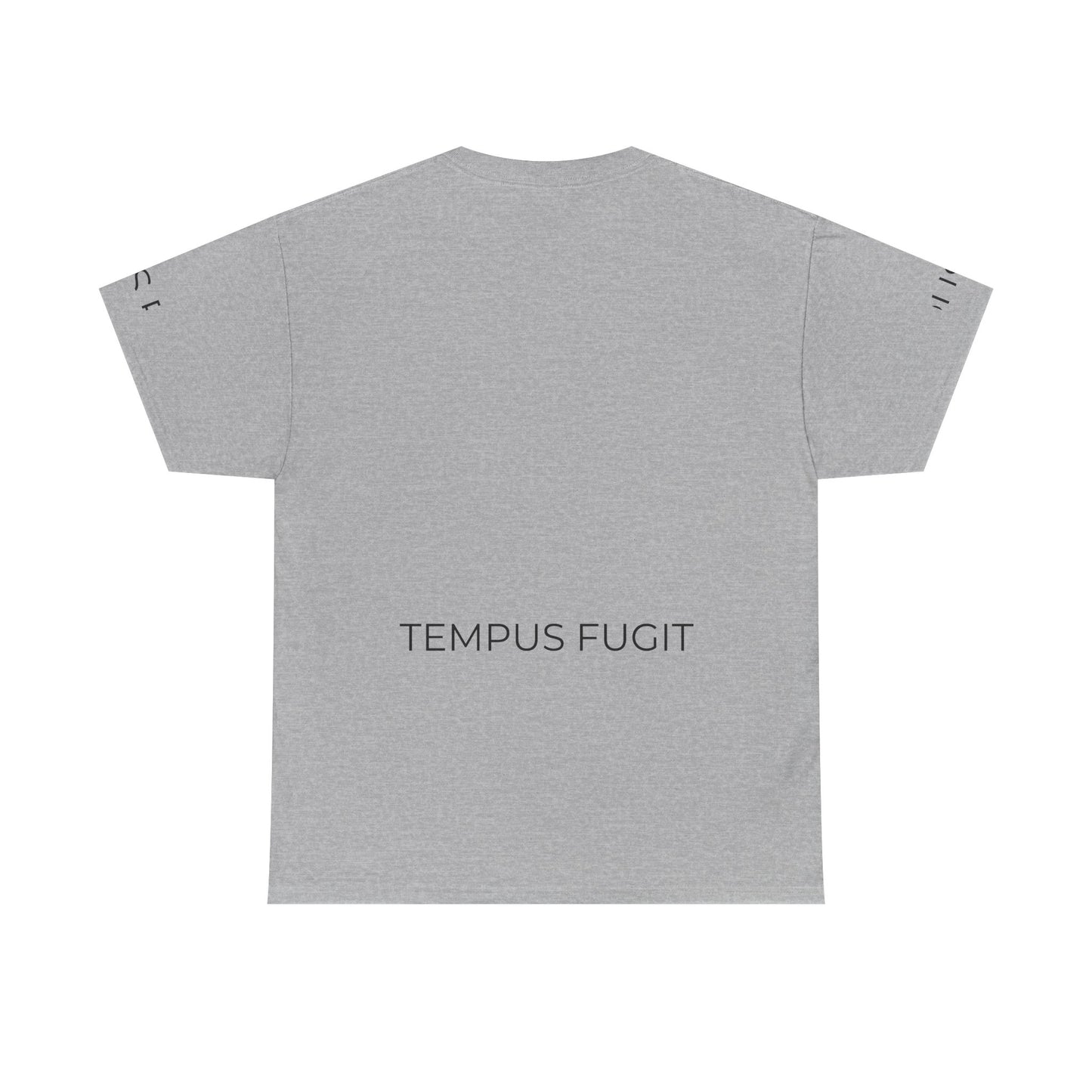 Tempus Fugit Lion T-Shirt Stoic Graphic Tee