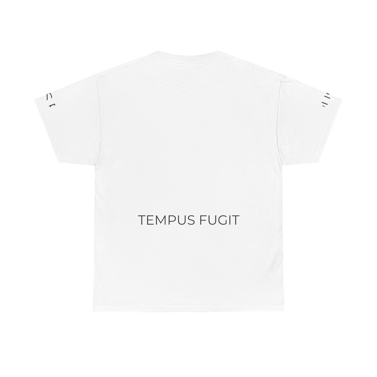 Tempus Fugit Lion T-Shirt Stoic Graphic Tee